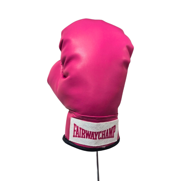 Boxhanschuh 10-Z0030_3